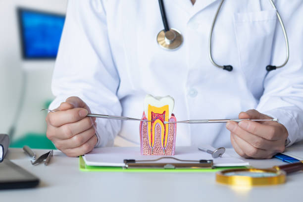 Best Urgent Dental Care for Toothache in Matta, WA
